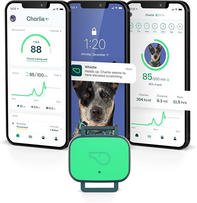 Whistle Health 2.0 pet health tracker hardware and mobile app interface. Three smartphones show Charlie's dashboard with a Wellness Score of 88, activity tracking of 85 minutes, and health alerts for scratching behavior. The green Whistle tracker device is displayed in the foreground. Clean high-tech aesthetic for professional pet health monitoring.
