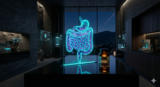 Precision Gut Engineering: The Akkermansia Protocol for Microbiome Sovereignty